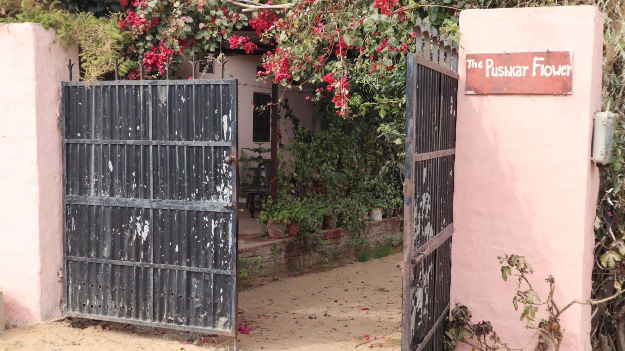 Hotel The Pushkar Flower Exteriér fotografie